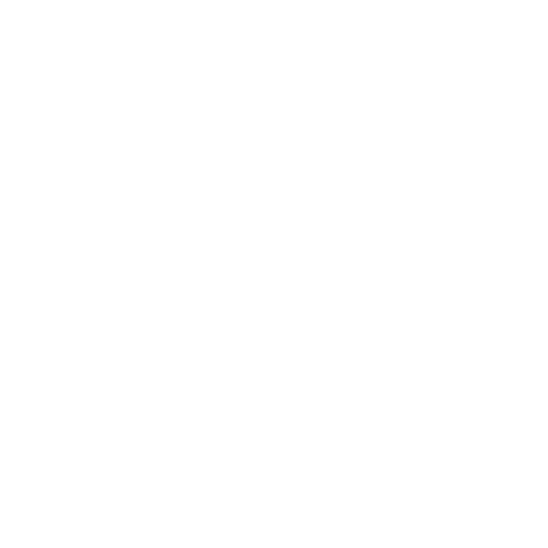 Flávia Pitta Contadora